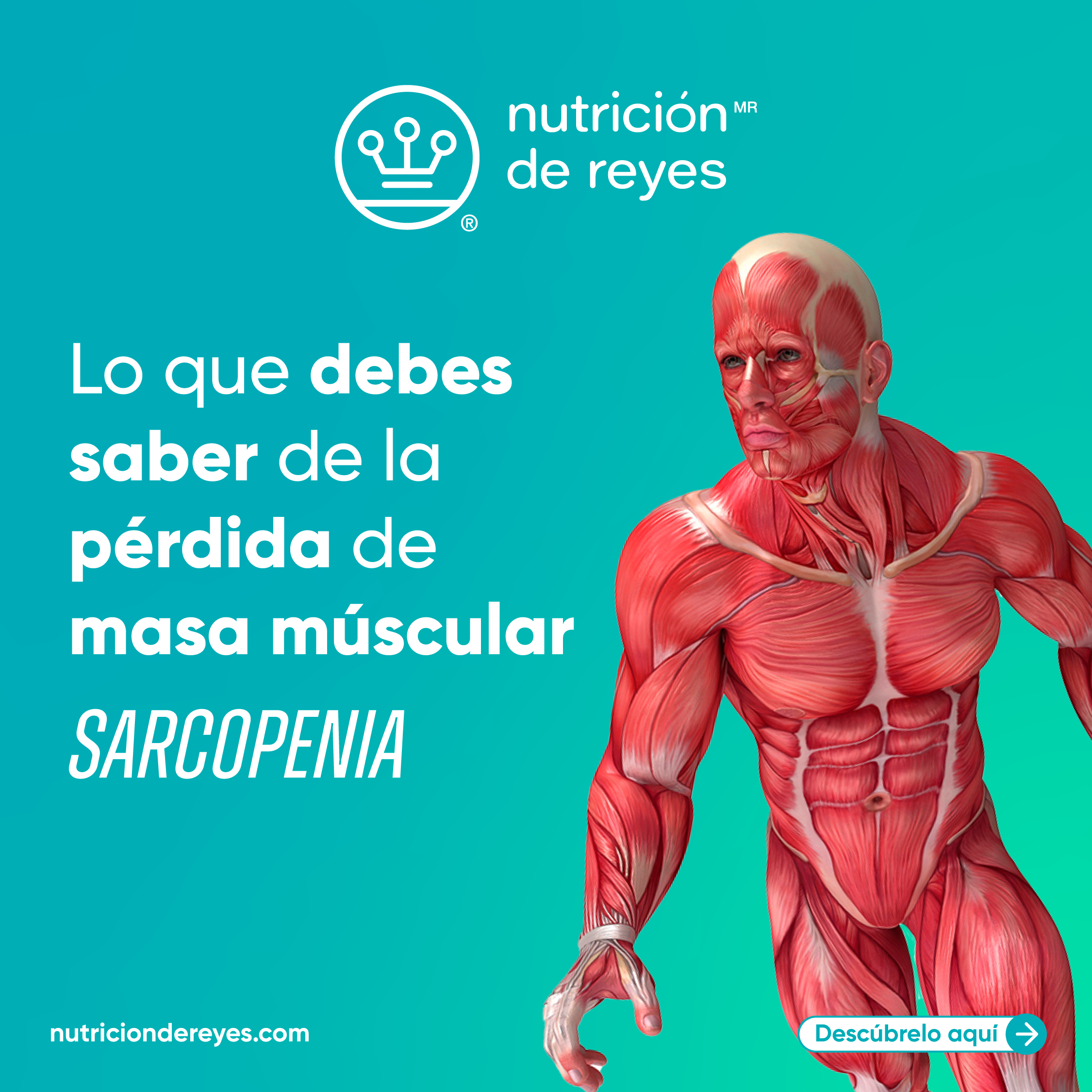 Sarcopenia; pérdida de músculo